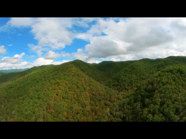 Fly Above Blue Ridge Mountains in 360 - A Meditation VR Experience of North Carolina in Autumn图1