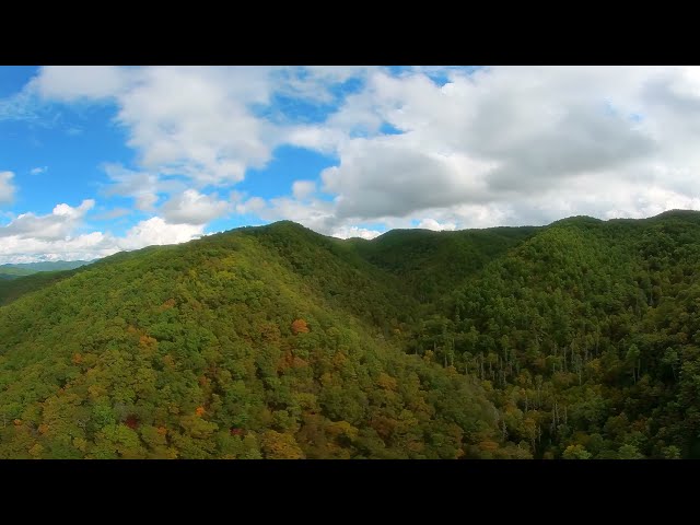 Fly Above Blue Ridge Mountains in 360 - A Meditation VR Experience of North Carolina in Autumn图2