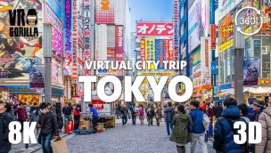 日本东京360VR导览-虚拟城市之旅-8K立体360视频