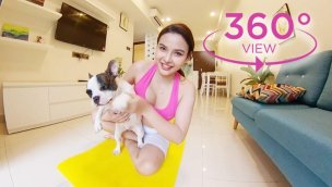 VR360可爱女孩与可爱的法国斗牛犬一起做瑜伽伸展运动PetAndBae