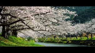 8K超清：超震撼的日本风景 高清 1080P