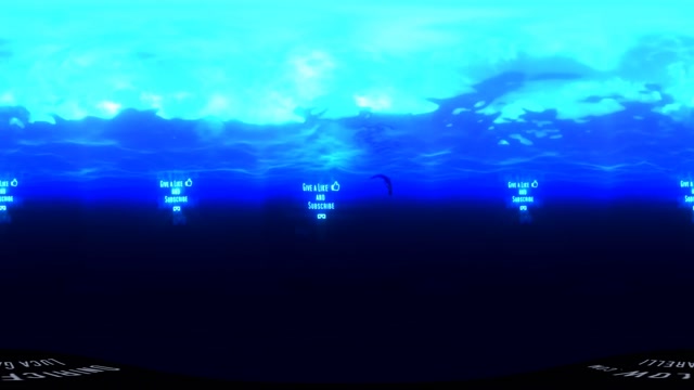 【360° VR】喂鱼 超清 4K图