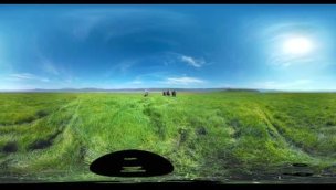 【360° VR】被野生大象包围 超清 4K【元宇宙素材】