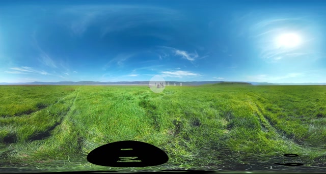 【360° VR】被野生大象包围 超清 4K【元宇宙素材】图